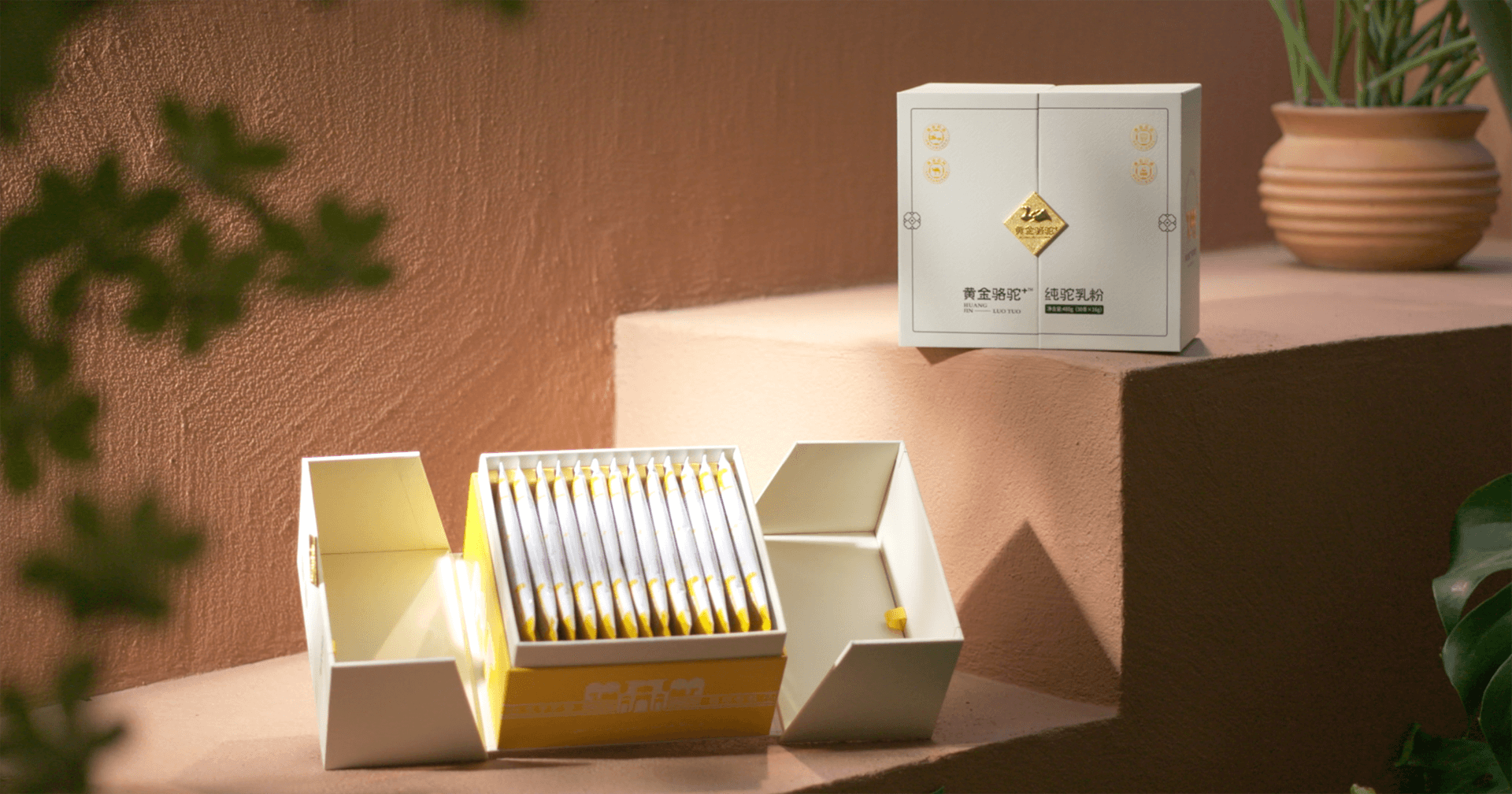 定位小众高端乳粉，jinnianhui今年会推出驼奶品牌“黄金骆驼+”，角逐乳品新市场！